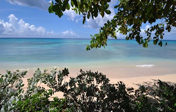 Beach view